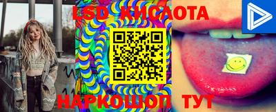 крисы Малоярославец