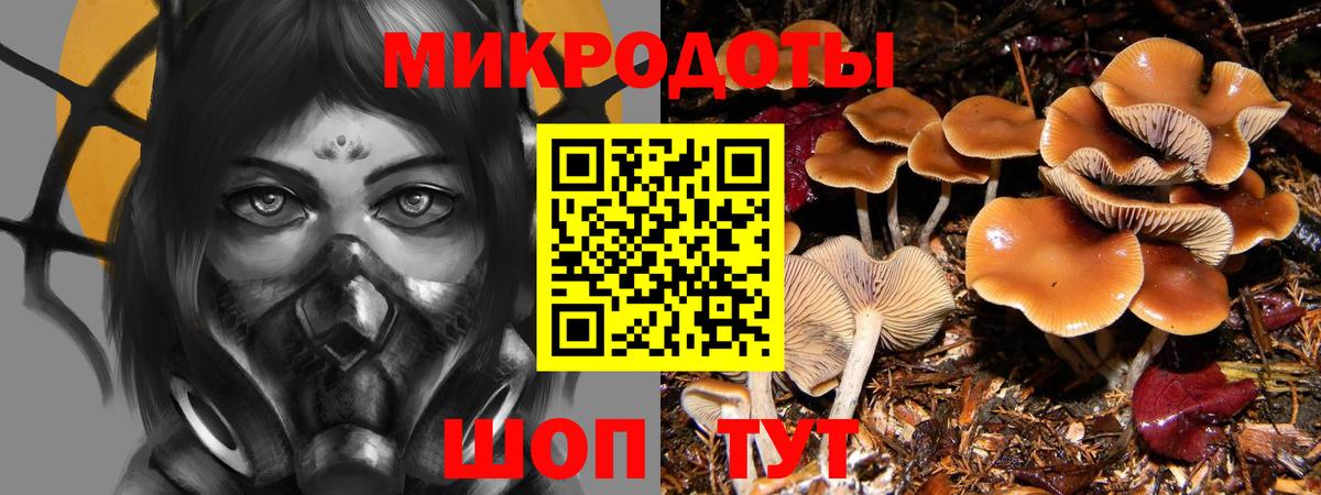 Губкинский  Псилоцибиновые грибы Magic Shrooms  Вход с VPN 
